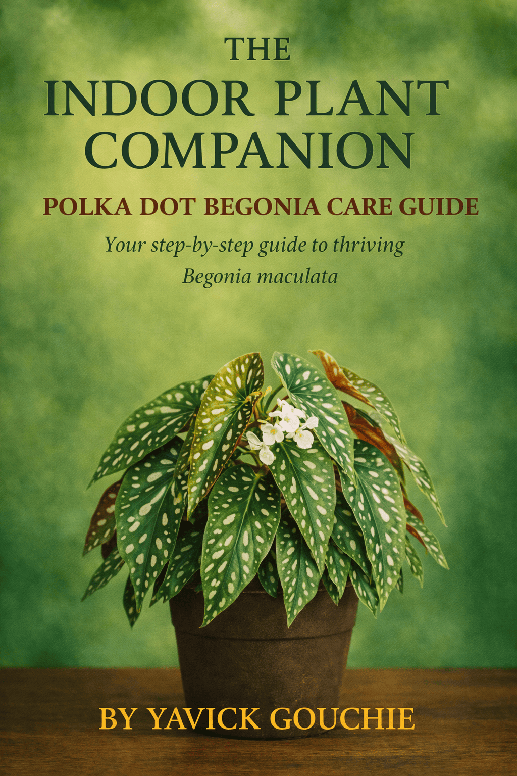 Polka Dot Begonia (Begonia maculata) – Care Guide PDF eBook