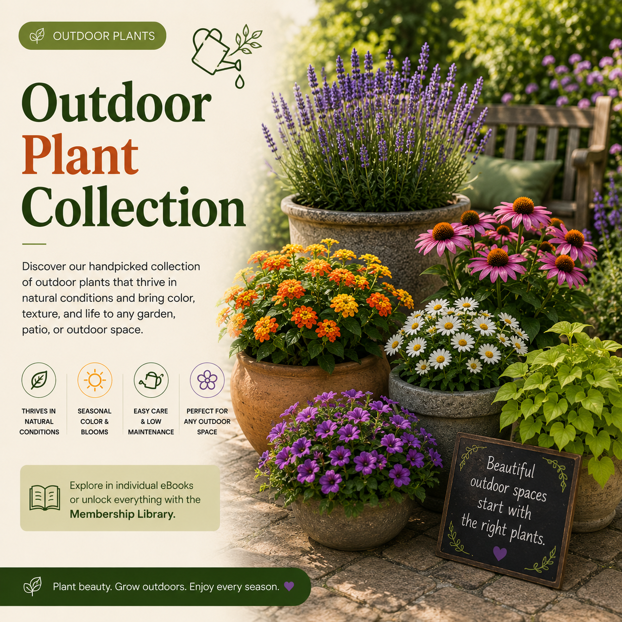 All Outdoor Plants