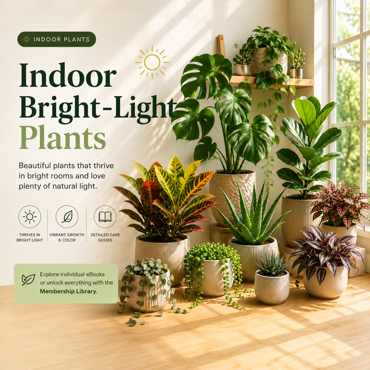 Indoor Bright-Light Plants