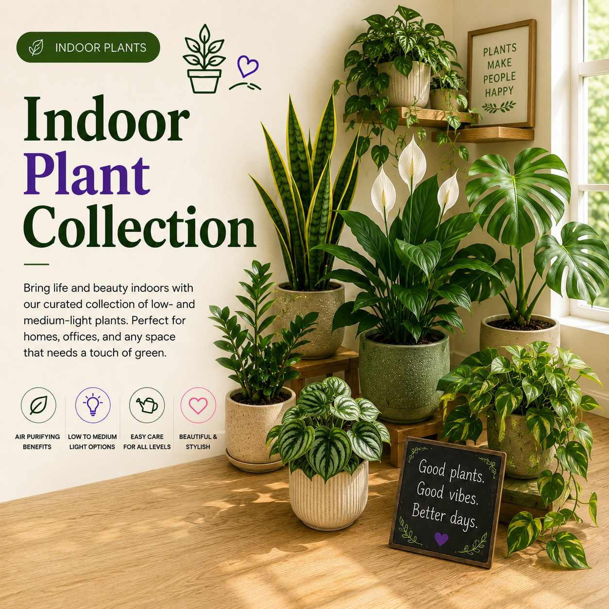Indoor Member Library