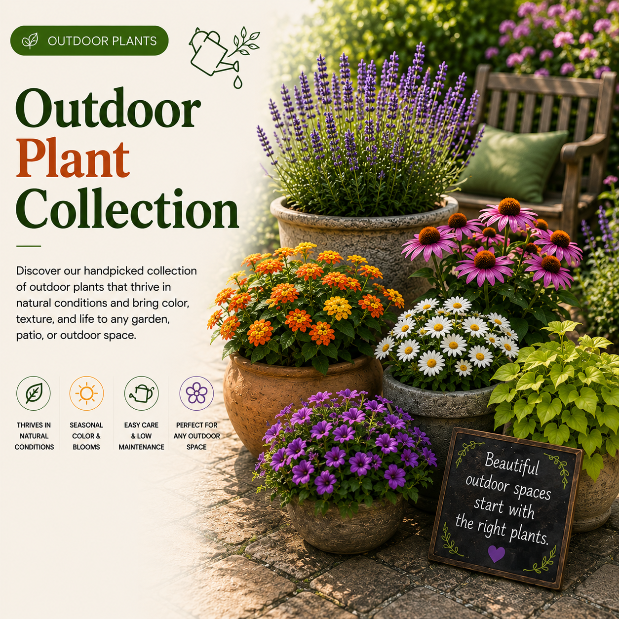 Outdoor Member Library