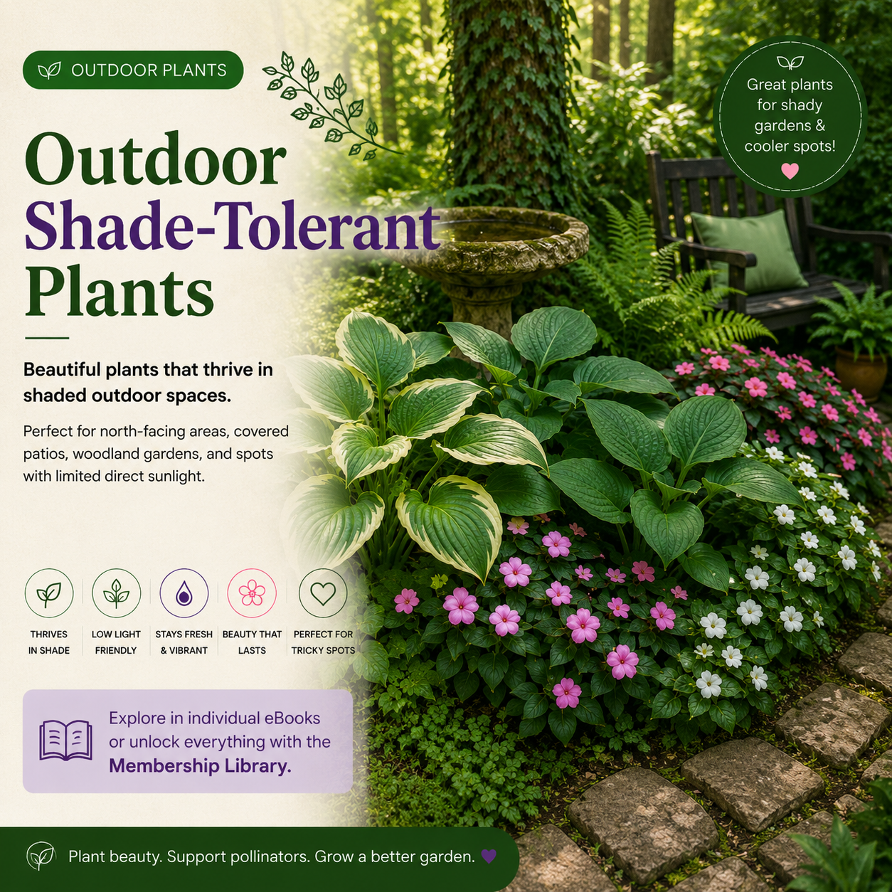 Outdoor Shade-Tolerant Plants