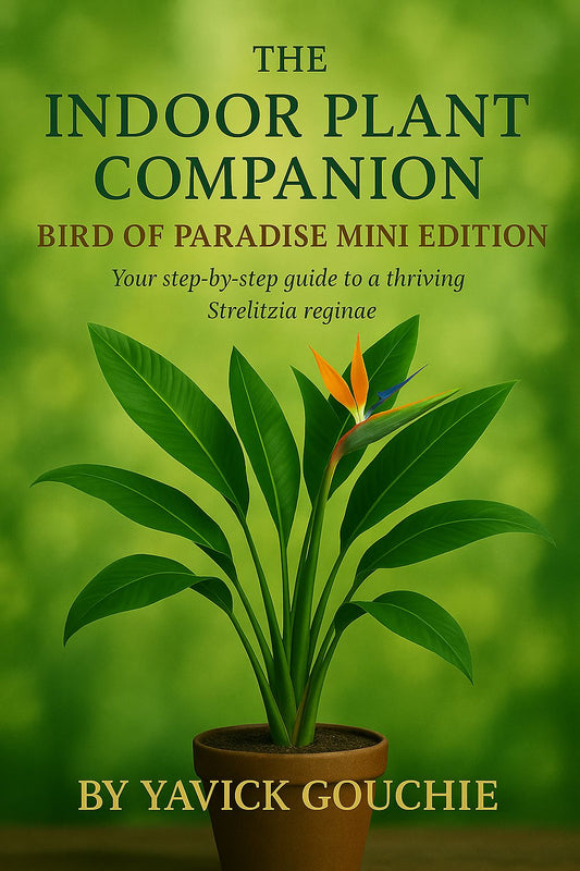 Bird of Paradise (Strelitzia reginae) – Mini Edition (PDF eBook + Kindle Version Available)