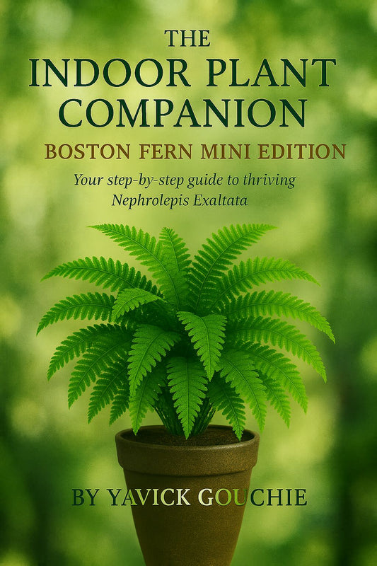 Boston Fern (Nephrolepis exaltata) – Mini Edition (PDF eBook + Kindle Version Available)