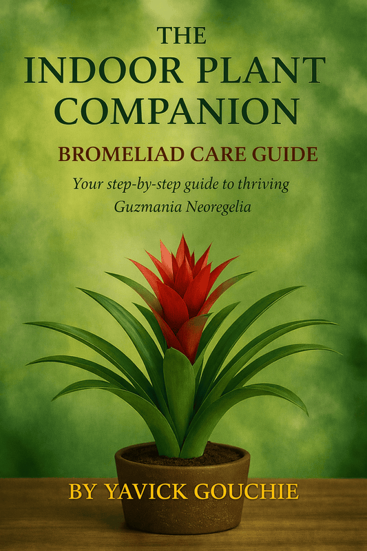 Bromeliad (Guzmania Neoregelia) Membership