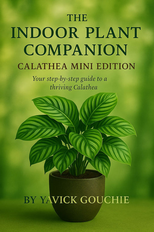 Calathea (Makoyana)– Mini Edition (PDF eBook + Kindle Version Available)