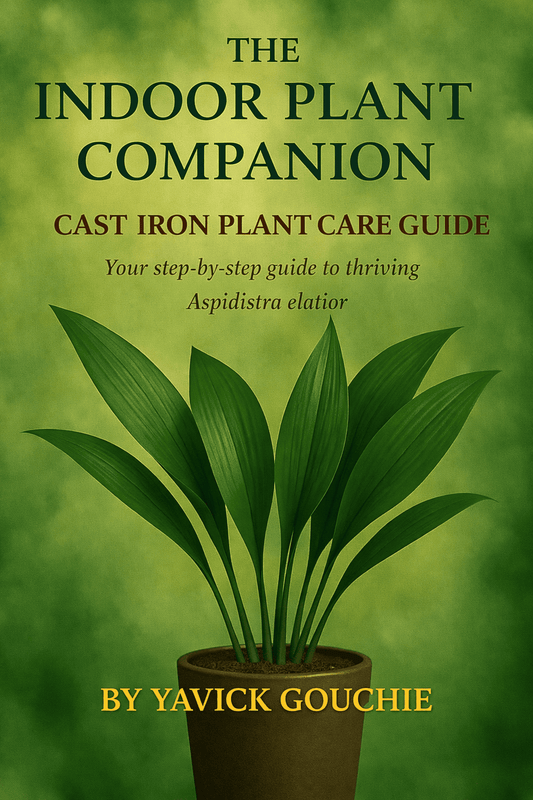 Cast Iron Plant (Aspidistra elatior) Membership