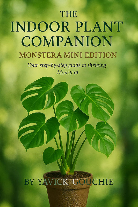 Monstera (Deliciosa) – Mini Edition (Kindle Exclusive, Only on Amazon until Dec 3, 2025)