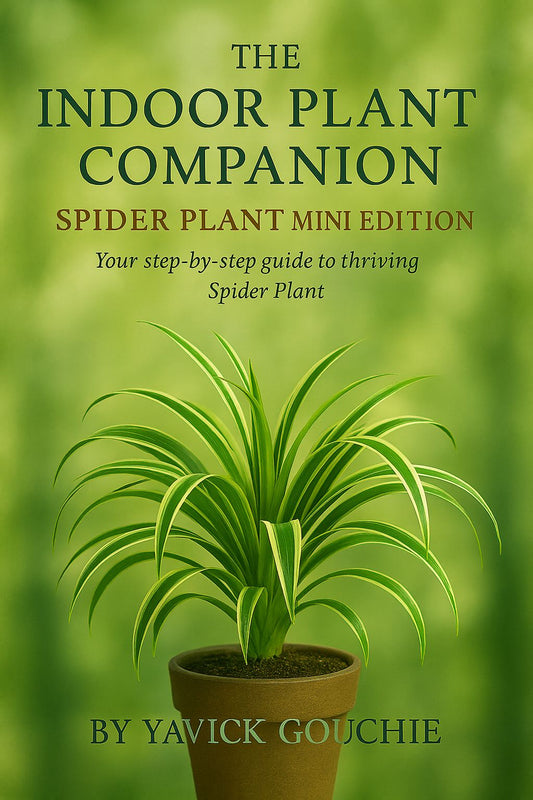Spider Plant (Chlorophytum Comosum) – Mini Edition (Kindle Exclusive, Only on Amazon until Dec 5, 2025)