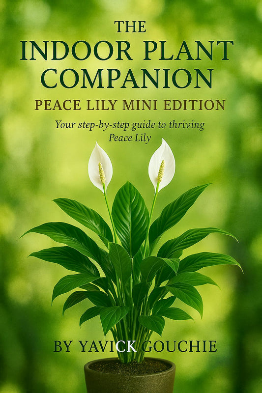 Peace Lily (Spathiphyllum) – Mini Edition (Kindle Exclusive, Only on Amazon until Dec 3, 2025)