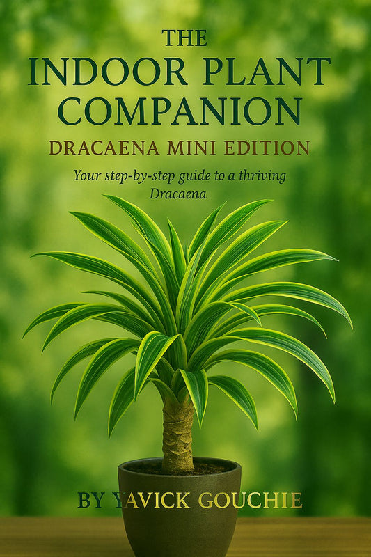 Dracaena (Marginata) – Mini Edition (PDF eBook + Kindle Version Available)