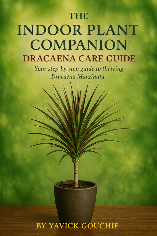 Dracaena (Marginata) Membership