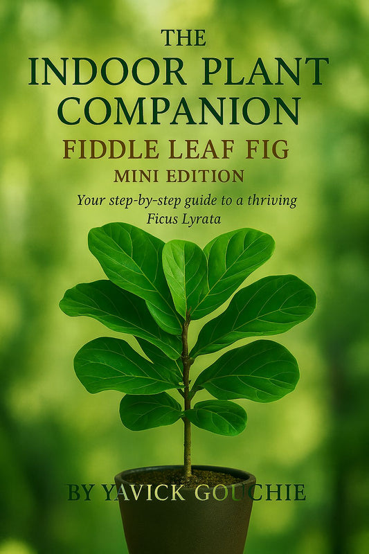 Fiddle Leaf Fig (Ficus lyrata) – Mini Edition (PDF eBook + Kindle Version Available)