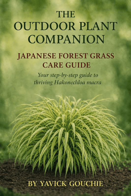 Japanese Forest Grass (Hakonechloa macra) Membership