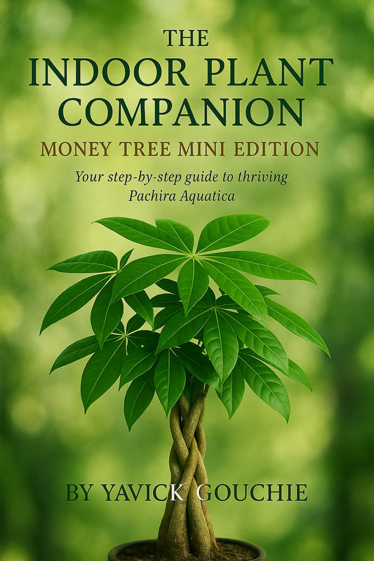Money Tree (Pachira aquatica) – Mini Edition (Kindle Exclusive, Only on Amazon until Dec 3, 2025)
