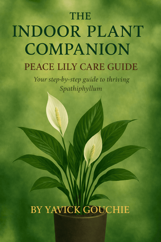 Peace Lily (Spathiphyllum)