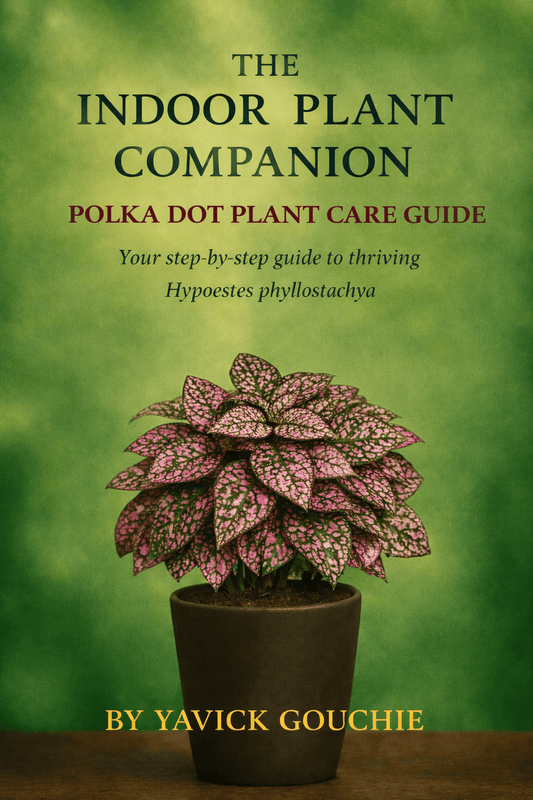 Polka Dot Plant (Hypoestes phyllostachya) Membership