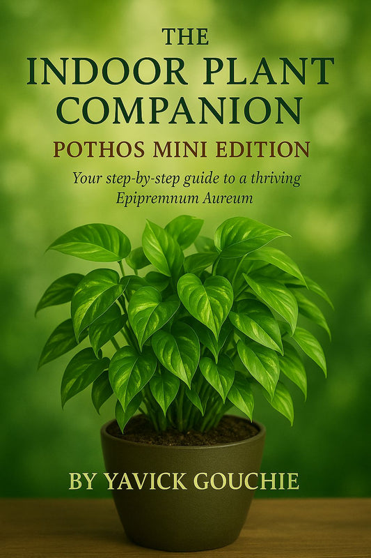 Pothos (Epipremnum aureum) – Mini Edition (Kindle Exclusive, Only on Amazon until Dec 13, 2025)