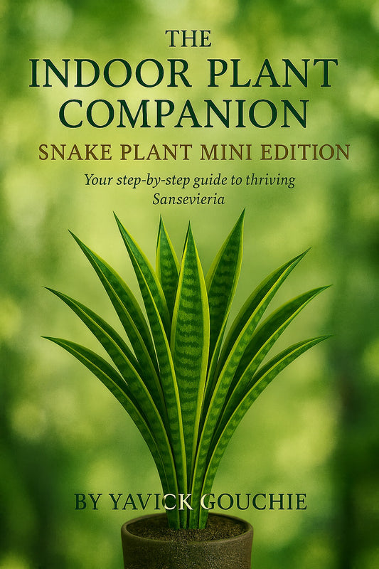 Snake Plant (Sansevieria) – Mini Edition (Kindle Exclusive, Only on Amazon only until Dec 1, 2025)