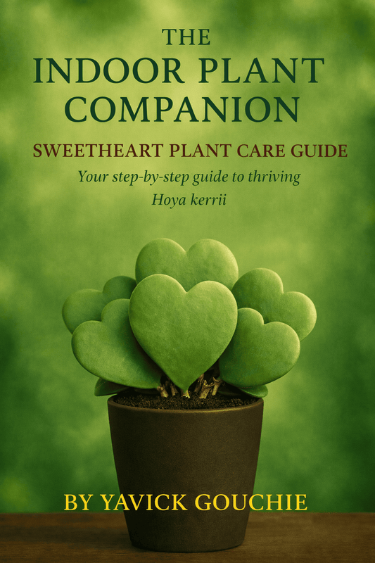 Sweet Heart Plant (Hoya kerrii) Membership
