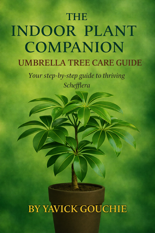 Umbrella Tree (Schefflera) – Care Guide PDF