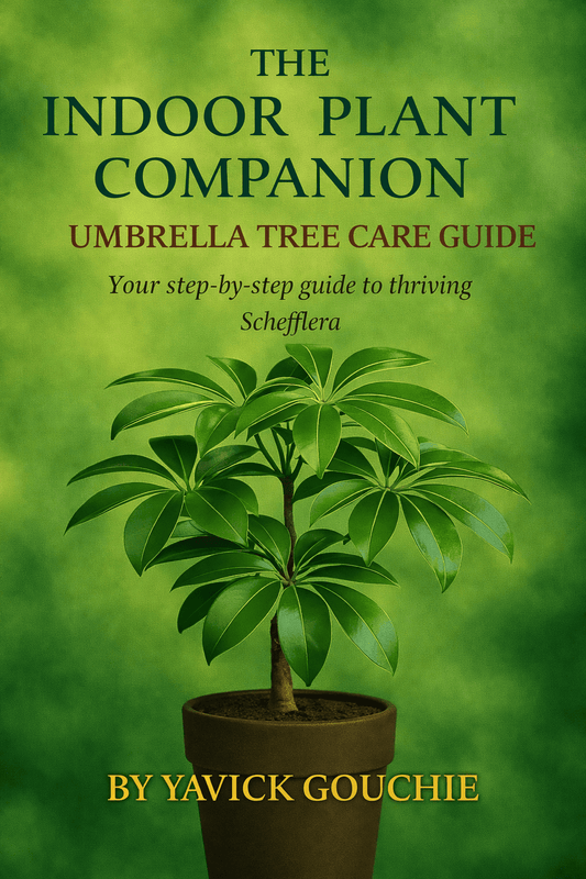 Umbrella Tree (Schefflera Arboricola) Membership