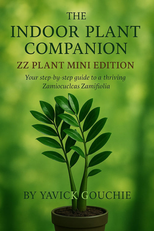 ZZ Plant (Zamioculcas zamiifolia) – Mini Edition (Kindle Exclusive, Only on Amazon until Dec 13, 2025)