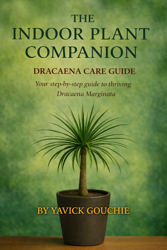 Dracaena (Marginata) – Care Guide PDF eBook