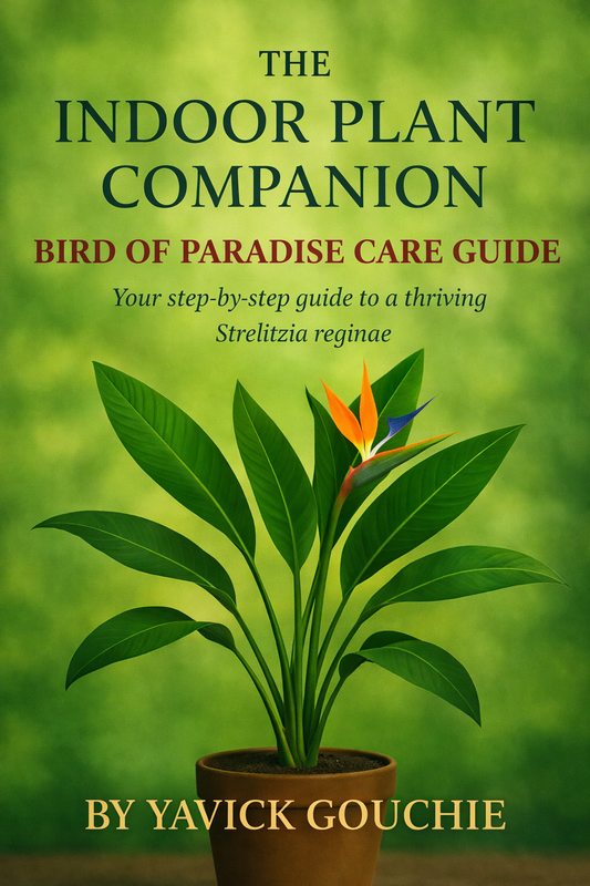 Bird of Paradise (Strelitzia reginae) – Care Guide PDF eBook