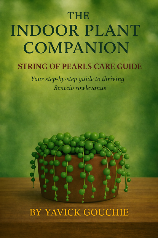 String of Pearls (Senecio rowleyanus) – Care Guide PDF eBook