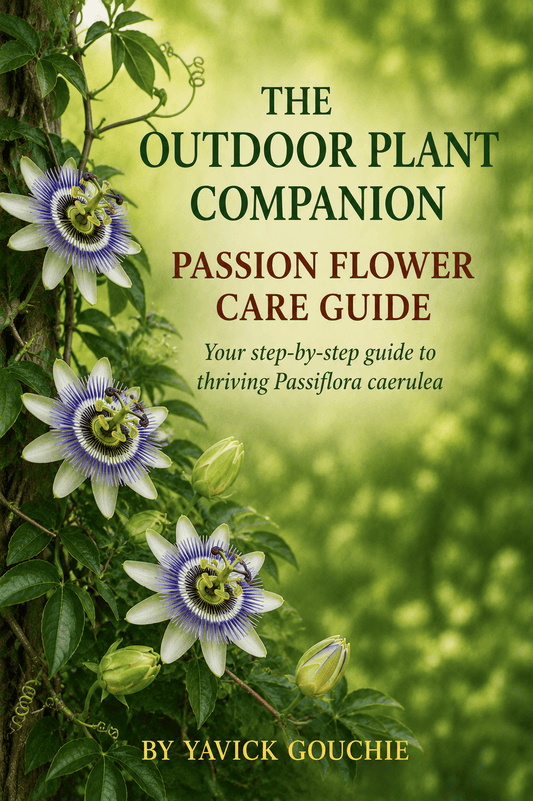 Passion Flower (Passiflora caerulea) – Care Guide PDF eBook