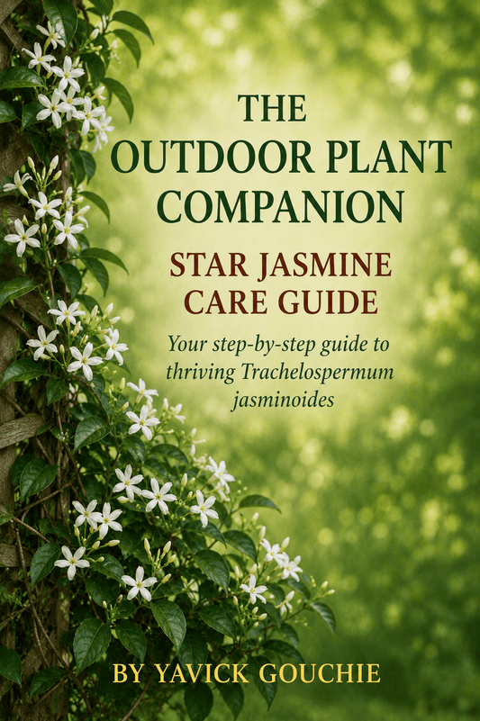 Star Jasmine (Trachelospermum jasminoides) – Care Guide PDF eBook