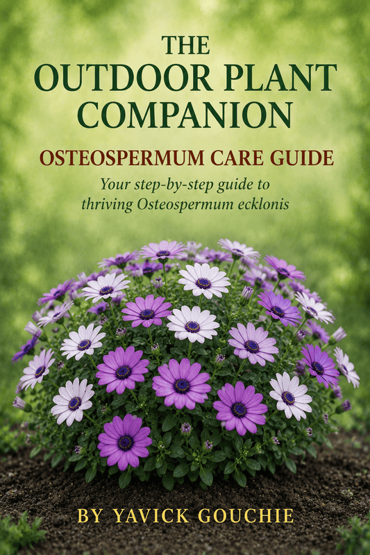 Osteospermum (Osteospermum ecklonis) – Care Guide PDF eBook