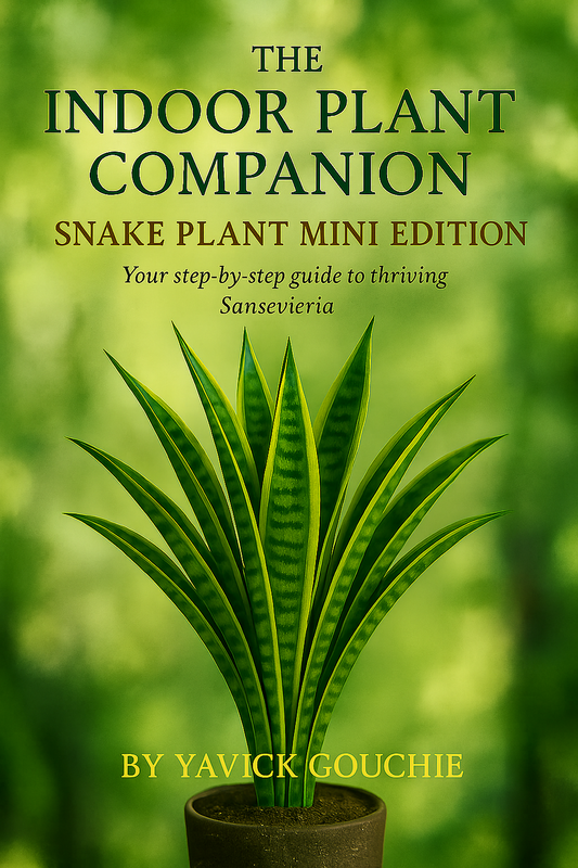 Snake Plant (Sansevieria) – Mini Edition