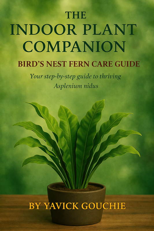 Bird’s Nest Fern (Asplenium nidus) – Care Guide PDF eBook