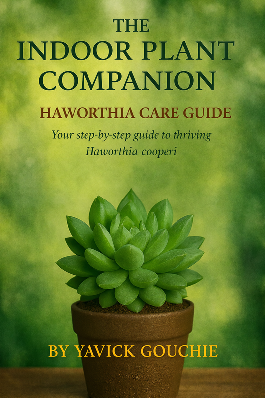 Haworthia (Haworthia cooperi) – Care Guide PDF eBook