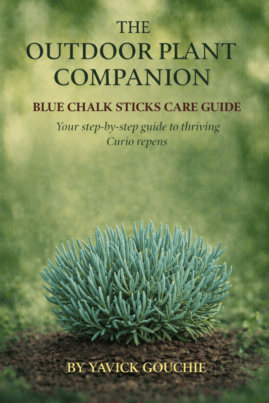 Blue Chalk Sticks (Curio repens) – Care Guide PDF eBook