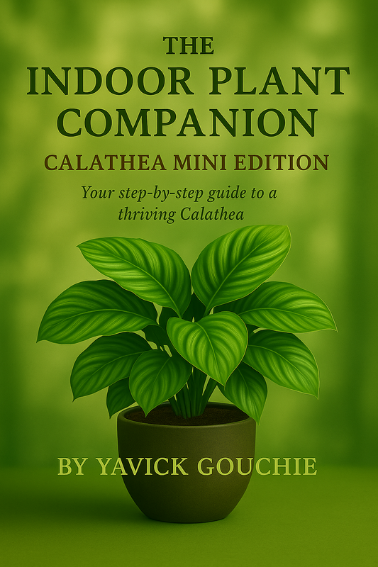 Calathea  (Ornata) – Mini Edition PDF eBook