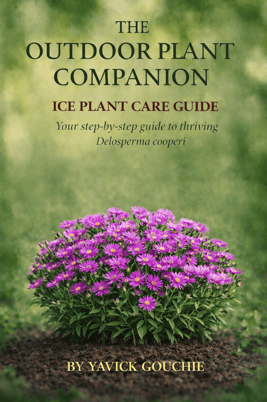 Ice Plant (Delosperma cooperi) – Care Guide PDF eBook