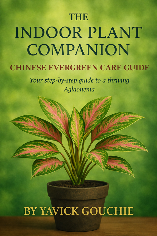 Chinese Evergreen (Aglaonema) – Care Guide PDF eBook