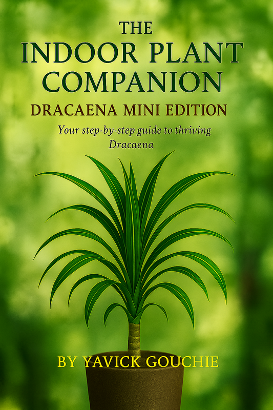 Dracaena (Marginata) – Mini Edition PDF eBook