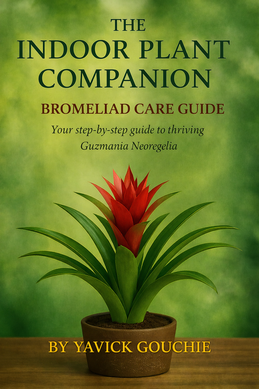 Bromeliad (Guzmania / Neoregelia) – Care Guide PDF eBook