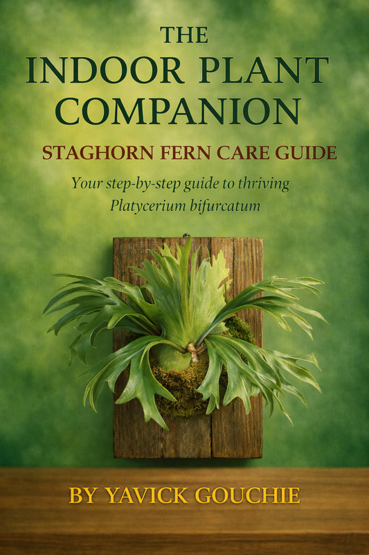 Staghorn Fern (Platycerium bifurcatum) – Care Guide PDF eBook