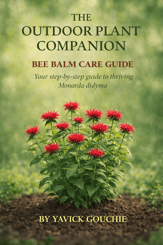 Bee Balm (Monarda didyma) – Care Guide PDF eBook