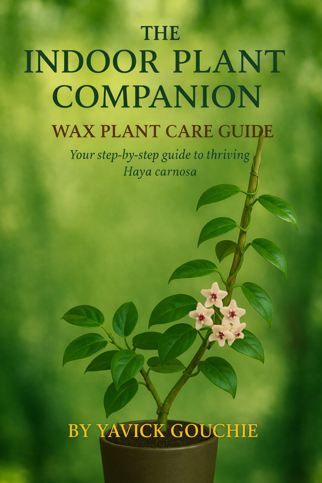 Wax Plant (Hoya carnosa) – Care Guide PDF eBook