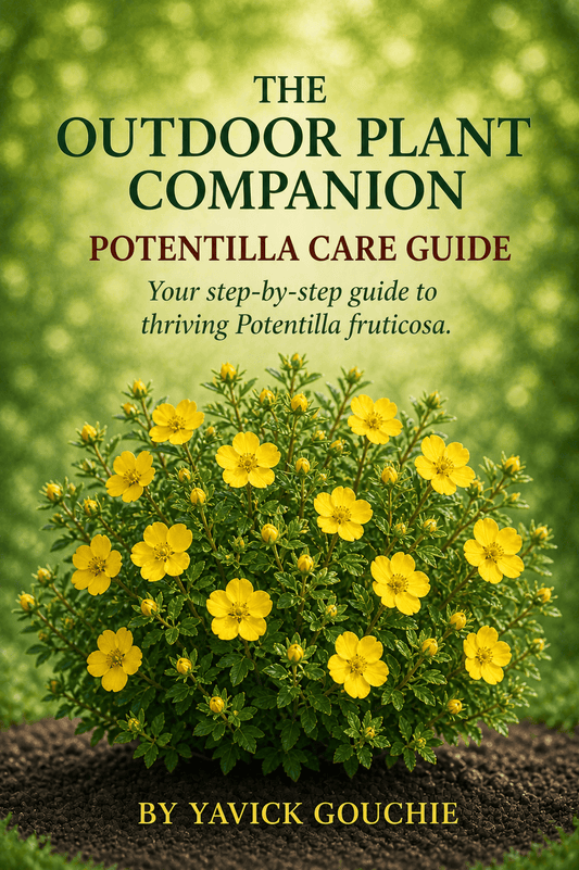 Potentilla (Potentilla fruticosa) – Care Guide PDF eBook