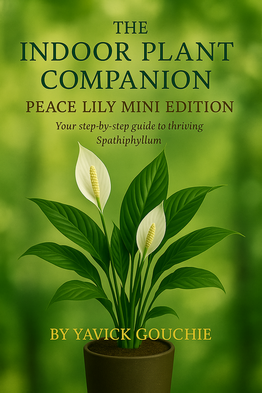 Spider Plant (Chlorophytum comosum) – Mini Edition PDF eBook