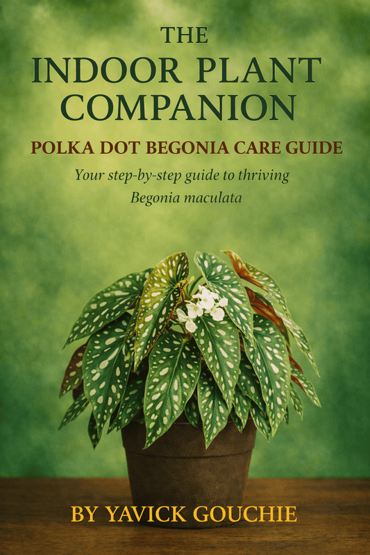 Polka Dot Begonia (Begonia maculata) – Care Guide PDF eBook