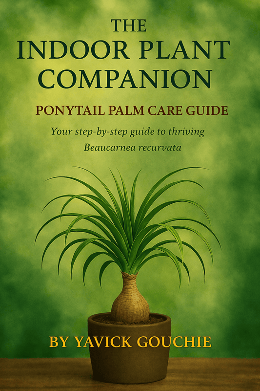 Ponytail Palm (Beaucarnea recurvata) – Care Guide PDF eBook