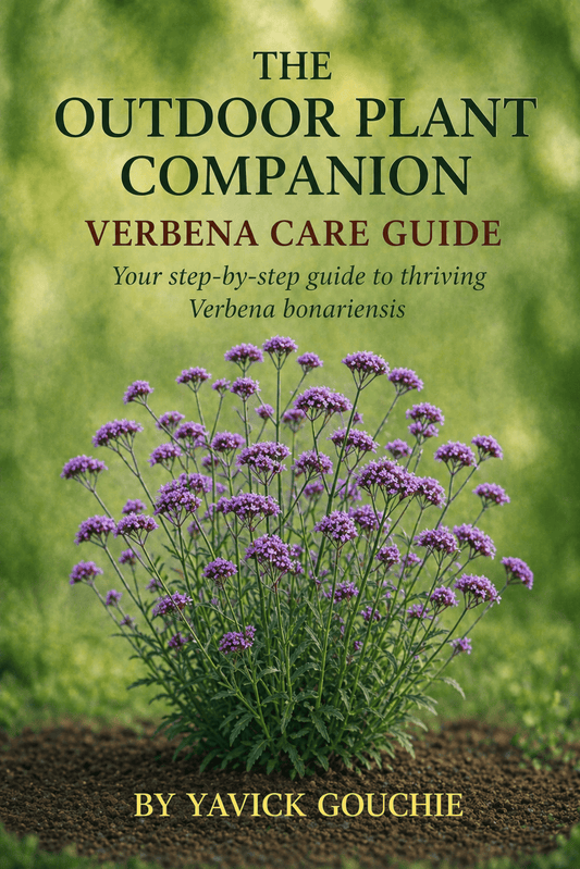 Verbena (Verbena bonariensis) – Care Guide PDF eBook